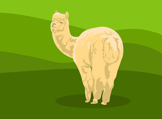Llama alpaca beige cute realistic vector illustration. unique cartoon design for cards, posters, t-shirts, invitations. against the backdrop of nature