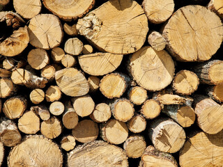stack of firewood