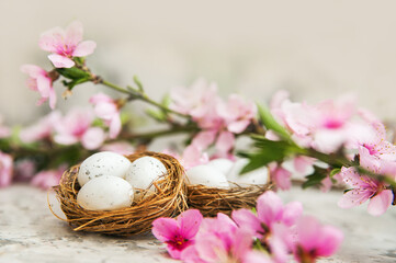 Happy easter. Easter nest with eggs on background of blossoming branch.
