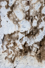 Obraz premium Granite slab natural stone background