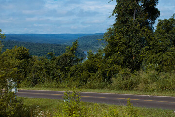 Monte. Misiones, Argentina