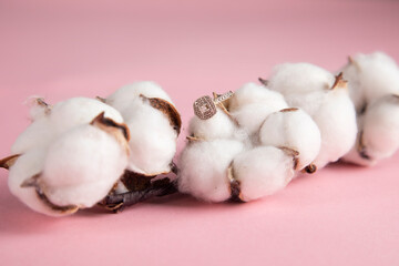 ring on a cotton branch