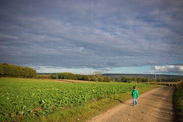 Fototapeta na wymiar petit garçon habillé en vert sur un chemin de campagne
