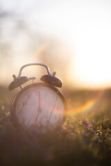 Authentic photo of an alarm clock in the grass with sunrise