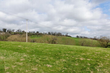 Fototapeta na wymiar field of grass and sky with telegraph poles