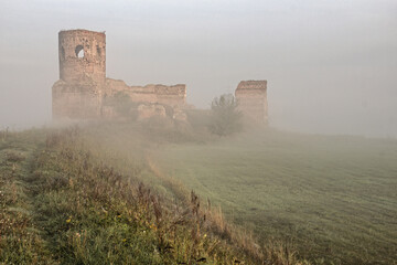 Obraz premium Medieval royal castle in City of Kolo - Poland