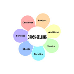Diagram concept with Cross-Selling text and keywords. EPS 10 isolated on white background