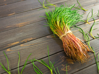 Bunch of fresh salsola soda, also called agretti, barba di frate, barilla plant, opposite-leaved saltwort or monk's beard. Still life of mediterranean spring vegetables on wooden table.