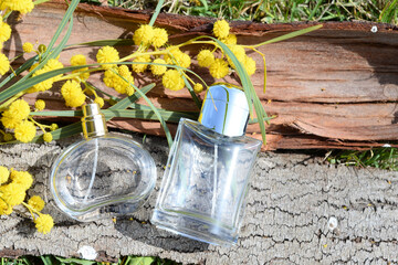 Bottles of women's and men's perfume against the background tree bark with a branch mimosa in the sunligth