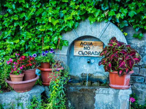 Hojas de enredadera y macetas con plantas de jard&iacute;n junto a una fuente p&uacute;blica en la que est&aacute; escrito un cartel que avisa de que el agua no tiene cloro