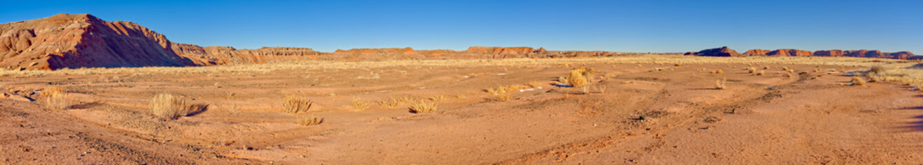 Way to Onyx Bridge Petrified Forest National park AZ