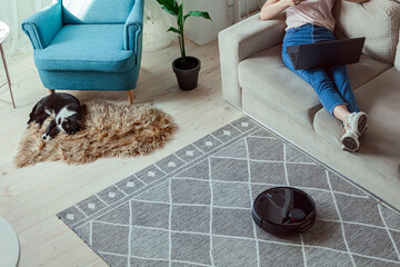 Robot vacuum cleaner cleaning carpet, cat, woman using laptop sitting on sofa at home