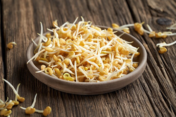 Fenugreek sprouts in a bowl
