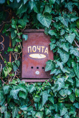 red mailbox on green wall