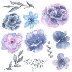 Watercolor illustration of blue flowers. Set of plants on a white background.