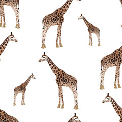 Seamless pattern with giraffes on white background.