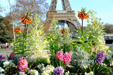 Some flowers blossom at the very first days of spring with the Eiffel Tower in background. Trocadero, 29th march 2021. - obrazy, fototapety, plakaty