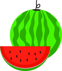 Waterlemon summer fruit on isolated background vector