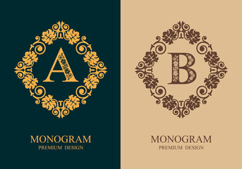 Monogram A and B design elements. Luxury elegant frame ornament line logo design vector illustration. Good for Royal sign, Restaurant, Boutique, Cafe, Hotel, Heraldic, Jewelry, Fashion