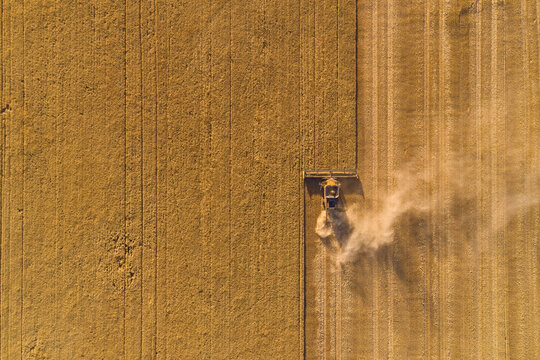 Bird's eye view of a header harvesting a barley crop