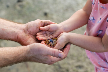 Close up of man and small child's hands holding a crab together