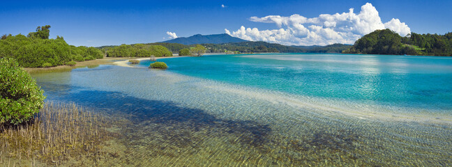 Panoramic view of a blue freshwater estuary with mangroves on its edge and cloud in the background