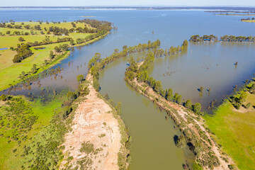 Aerial view of a flooded river flowing between rows of gum trees into a reservoir