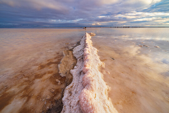A salt encrusted fence pointing out into a pink salt lake
