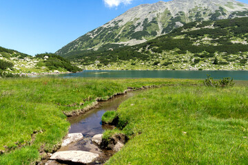 Fish Banderitsa lake at Pirin Mountain, Bulgaria