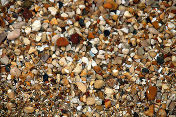 pebbles on the beach