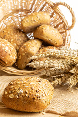 Bakery products. Rye bakery with crusty loaves and crumbs. Fresh loaf of rustic traditional bread with wheat grain ear or spike plant on natural cotton background. Concept - Cooking at Home.
