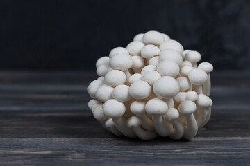 White beech mushroom on gray background