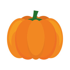 orange pumpkin icon