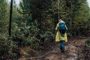 Rear view of a tourist in a raincoat with a backpack and a stick walking along a rocky path in the autumn forest.