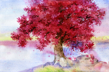 Obraz na płótnie Canvas Watercolour landscape. A tree with red leaves against a transparent sky. Mahogany tree on the river bank. 