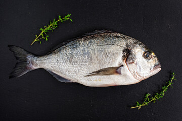 Raw dorado fish with spices on black slate background. Fresh fish dorado. 