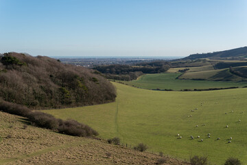 Countryside around Folkington in East Sussex