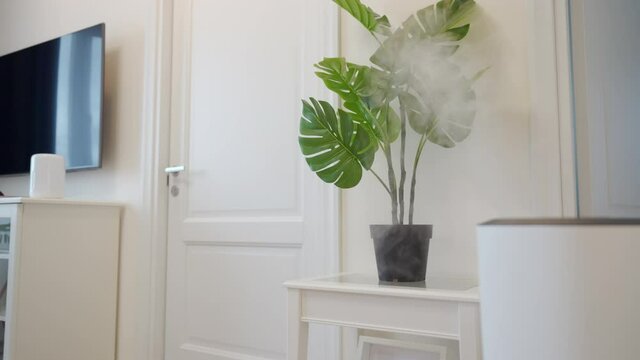 Steam from a working humidifier, ultrasonic humidifier adds moisture into dry air in living room. High quality 4k footage