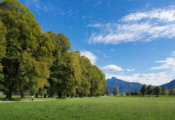 Obraz premium Path Leading from Mondsee down to the Lake