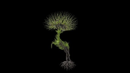 Tree in a shape of a deer. Seasonal transition on black background. Eco Concept.