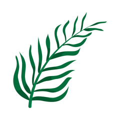 palm leaf design