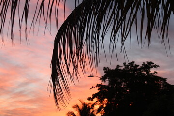 tropical sunset 