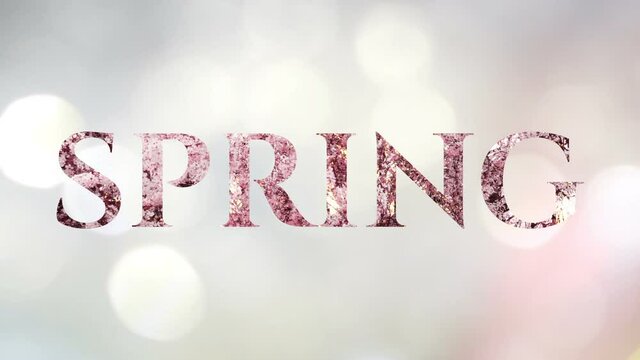 Animated word "Spring" with a parade of white and pink blooms. Shiny bokeh lights scrolling in background. Nice looping animation for the backdrop in soft pink, plum, peach, gray and Champagne colors.