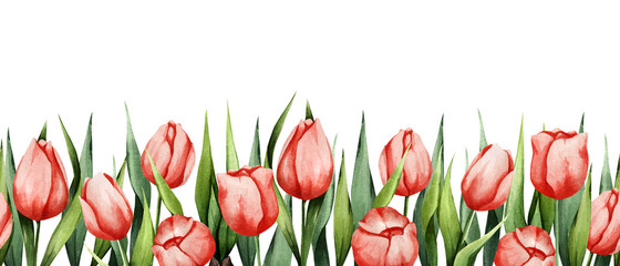 Floral watercolor background with red tulips. Spring illustration. Suitable for banners, postcards, brochures, invitations, etc.