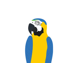 Blue and yellow Macaw parrot, vector drawing 