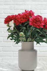 Bouquet of red blossoming peonies in vase on light background, close-up, fragrant summer flowers in room
