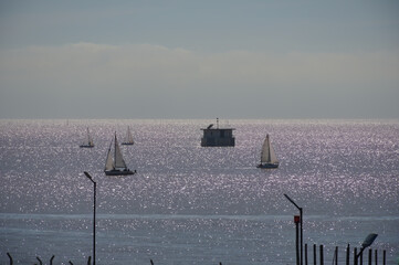 Veleros sobre el rio de la plata