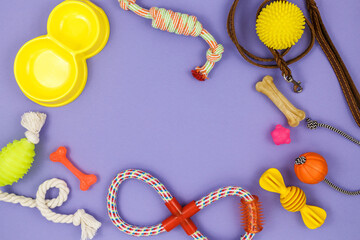 Different multicolored pet care accessories: ring, bones, leash, collar, balls on violet background. Rubber and textile accessories for dogs. Top view, flat lay. Copy space