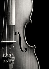 violin on black