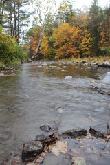 Rainy day river in autumn forest